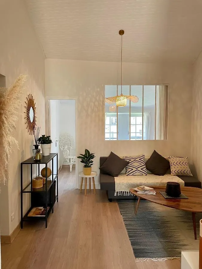 Appartement Aux Pieds Du Palais Des Papes. Avignon