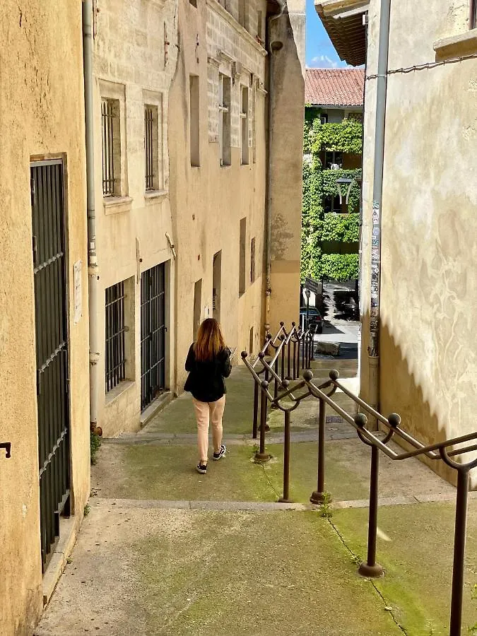 Appartement Aux Pieds Du Palais Des Papes. Avignon Apartment
