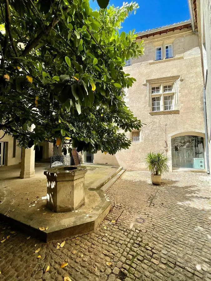 Appartement Aux Pieds Du Palais Des Papes. Avignon Frankreich